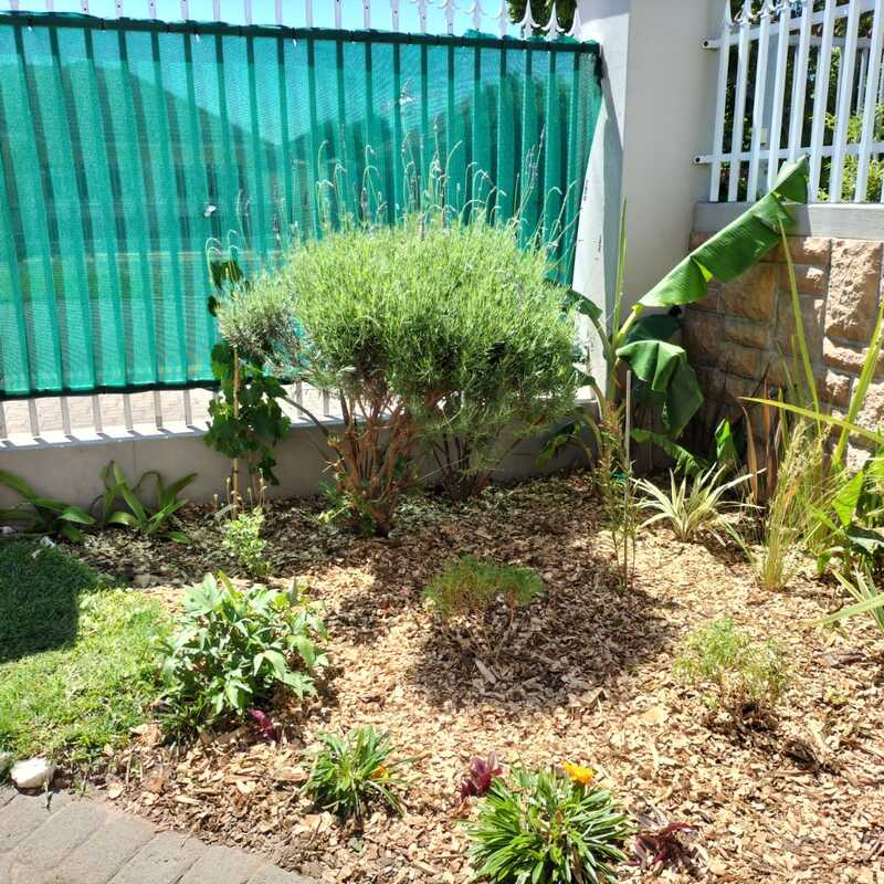 Woodchips Mulch - another happy garden and customer